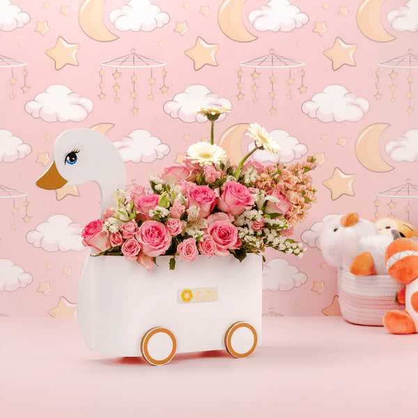 Baby Swan Girl